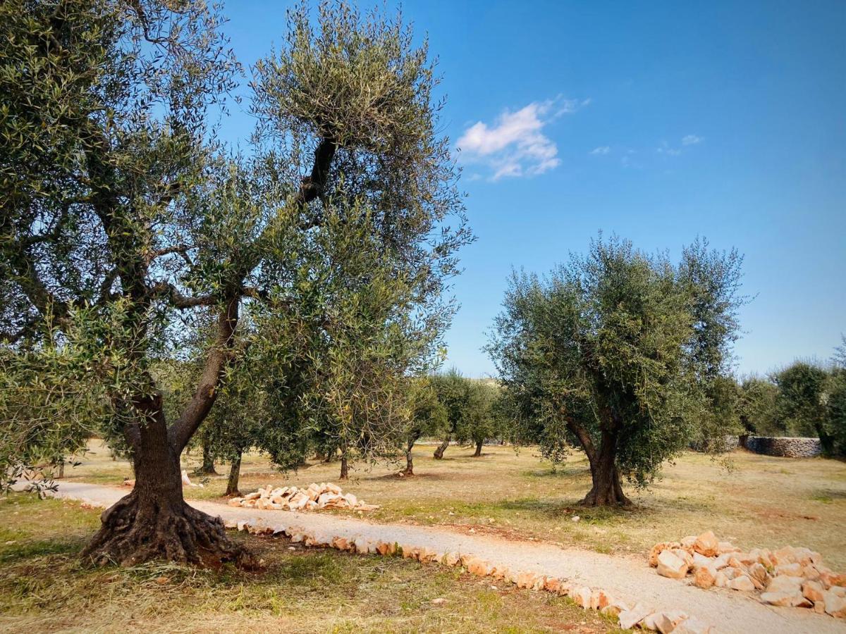 Trulli Acquasala - Apulian Country Experience Villa Ostuni Dış mekan fotoğraf