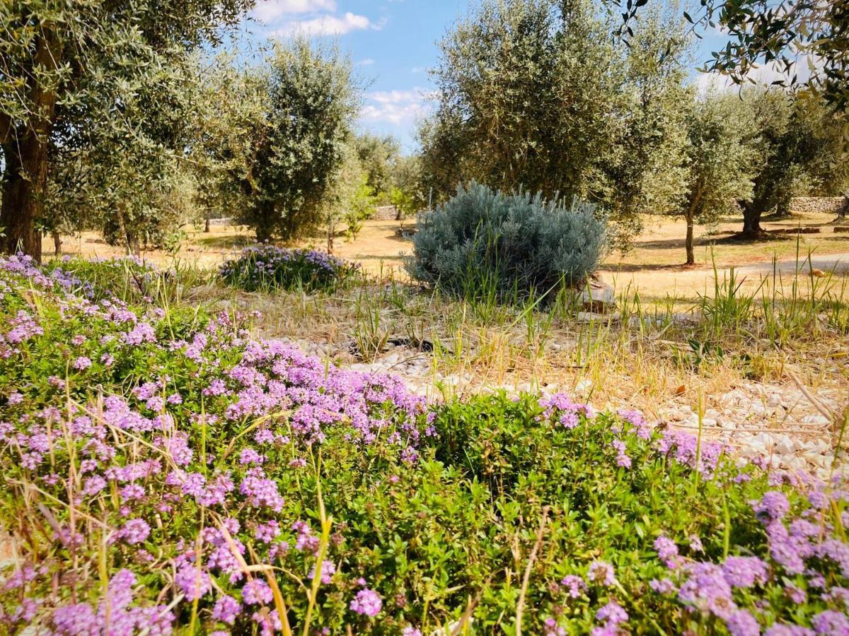Trulli Acquasala - Apulian Country Experience Villa Ostuni Dış mekan fotoğraf