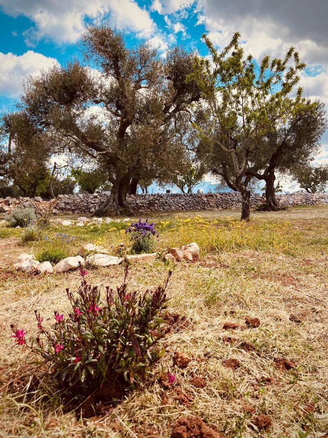 Trulli Acquasala - Apulian Country Experience Villa Ostuni Dış mekan fotoğraf