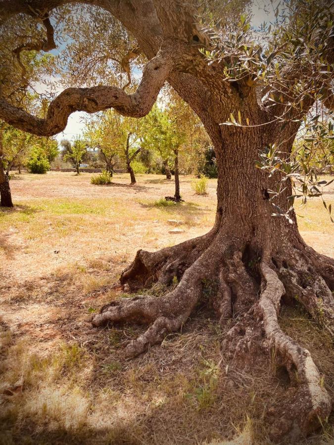 Trulli Acquasala - Apulian Country Experience Villa Ostuni Dış mekan fotoğraf